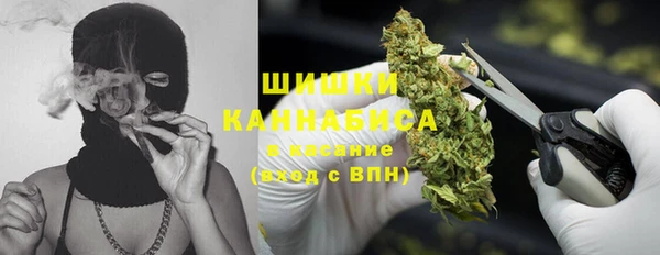 МДПВ Богородицк