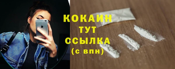 МДПВ Богородицк