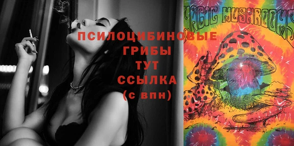 героин Богданович