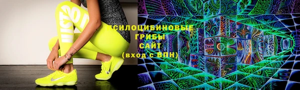 МДПВ Богородицк